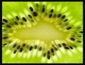 Logo168x128 kiwi